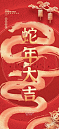 2025年蛇年新年春节创意喜庆红包封面开门红海报模板PSD设计素材(15)