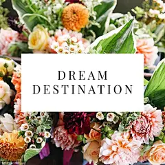 源文件-自然简约欧式冷淡绿植服装促销广告宣传海报PSD设计素材