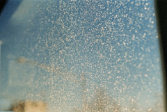 SolaSisyphe采集到Rinko Kawauchi