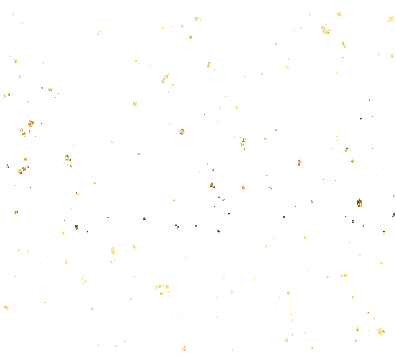 金片