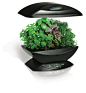 Miracle-Gro AeroGarden 7-Pod室内花园带Gourmet Herb 种子Kit