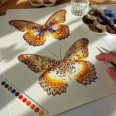水彩昆虫插画