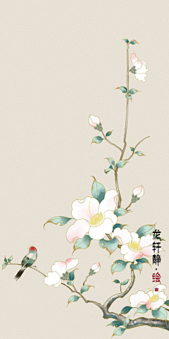 皛山石·采集到首页