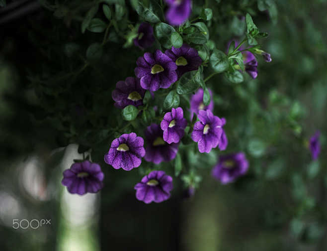 Untitled by xueping ...