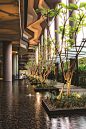 新加坡皮克林宾乐雅花园酒店 / Tierra Design (S) Pte Ltd – mooool木藕设计网
