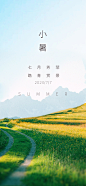 小暑海报