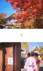                                     京都红叶季旅拍vol.15

缓步走过渡月桥，岚山的画卷就在眼前展开。
它是我初来京都的第一瞥，一眼后便爱上。对岚山的喜欢是我的一点点小私心，若说起它的好，恐怕絮絮叨叨很久也说不完，又或者根本舍不得对旁人提起，只想把那些只有自己懂得的好点点滴滴藏在心里最深处。
来到岚山，第一站当然是华丽的 ​​​​...展开全文c                            