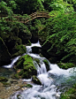 湖北神农架是一处山川交错、峰岭连绵的地方。这里林密谷深，与世隔绝，苍山滴翠，峰奇林密，飞瀑丰盈，泉流清澈，夏天是避暑、寻幽、探秘的好去处。被誉为“湖北的呼伦贝尔”的大九湖，每年都吸引着众多摄影师前来采风；登上青云梯的2999阶台阶就能感受华中第一峰神农顶的恢弘气势；穿梭在云雾缭绕的神农谷中，踱步在野花绿树、小溪流淌的天生桥……贴士：神农架景区内食宿方便，但是各景点之间距离相对较远，自驾车不允许进入景区，统一巴士运行。早晚温差明显，有时阴晴不定，建议备好外套和雨衣；如遇下雨，不建议游览。