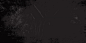 Banner design with a detailed dark grunge texture Free Vector