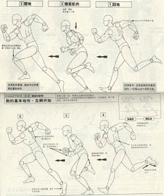 lantuzi1hao采集到教程