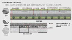 人行道升级改造，“绘制”美丽山海线！ : 人行道升级改造，“绘制”美丽山海线！,人行道,绿化带,金岭,公园,面砖