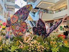 ESTRELLA…采集到元素：蝴蝶