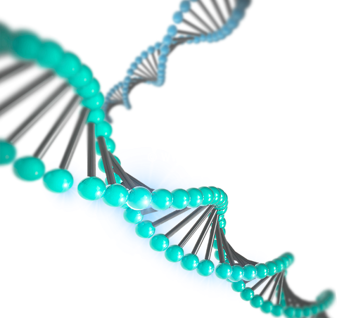 [美工云]DNA生物元素生物链_PNG：