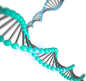[美工云]DNA生物元素生物链_PNG：