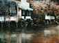 秋韵  (800×597)
