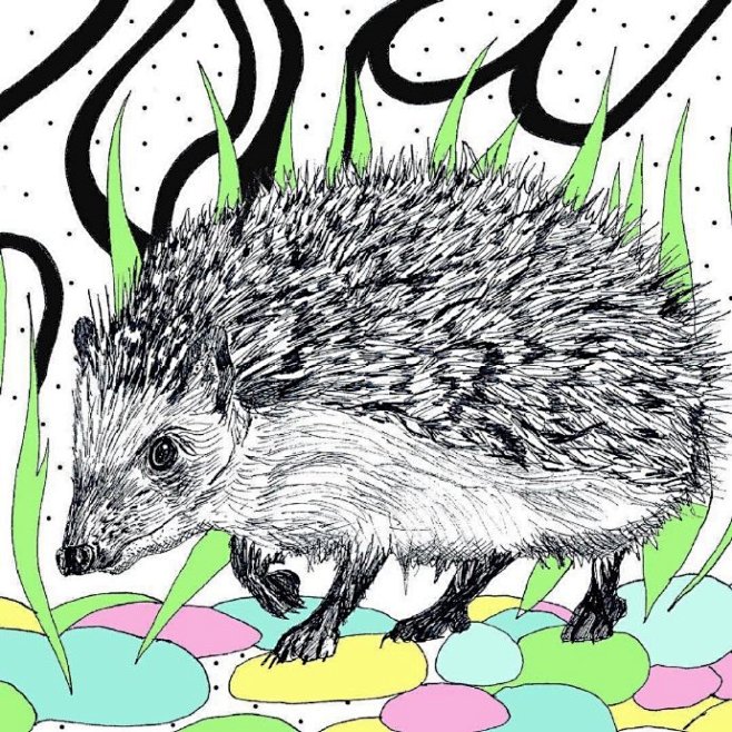 彩色的线描装饰画——动物主题#指尖上的艺...