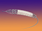 Amnis Therapeutics (formerly ITGI Medical ) : Illustrations of Pericardium Covered Stents (PCS)Client: ITGI Medical
