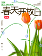 主视觉静
