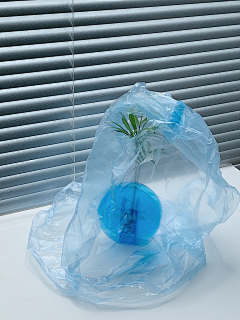 青年凉品采集到超级植物公司