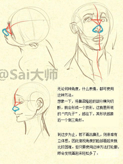 收集就等于画了吗采集到人体-部位