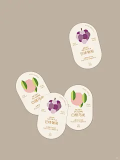 饮品标签️扁平风插画设计｜冷泡茶落地 - 小红书