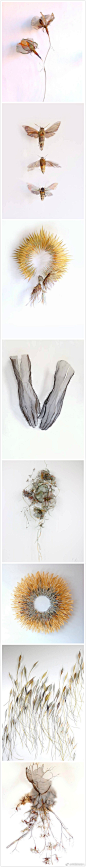 英国艺术家Michelle McKinney的壁挂雕塑系列作品……看似薄如蝉翼的外观，其实是各种工业级强度的金属经过手工打磨制作出来的……原本冰冷厚重的不锈钢、黄铜等原料，在她手下仿佛有了轻巧灵动的生命……ins：mckinneyartist ​​​​