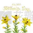 百合花,贺卡,花纹,仅一朵花,母亲节,创造力,白昼,闪亮的,问候,闪亮