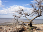 Rio de La Plata, Reserva Ecologica Costanera del Sur - Buenos Aires, Argentina by Jessica Alves Lemes on 500px