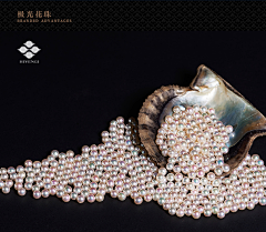 chelse09采集到珠宝欣赏