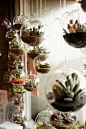 hanging succulents by the big open windows