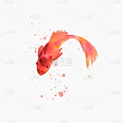 鱼类,水彩画,手艺,艺术品,商务,事件,壁纸,模板,动物,鲤鱼