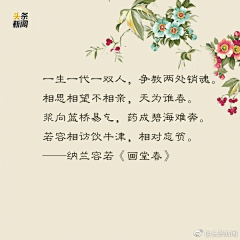 z华_chung采集到其他