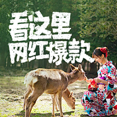 每一个夜晚到清晨采集到斑马旅游