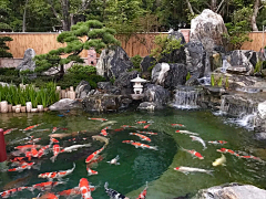 俗耶采集到庭院景观