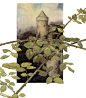 alan_lee_castles_briar-rose,%20the%20sleeping%20beauty