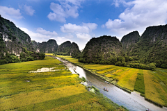 红茶tee采集到风景