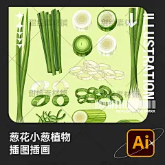 手绘植物蔬菜食物调味葱花小葱大葱元素插画AI矢量设计素材-淘宝网