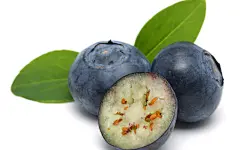 新鲜蓝莓图片高清电脑壁纸