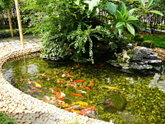 咖啡馆魔法师采集到水景