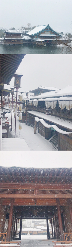 爽爽的yu~采集到雪景