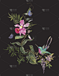 蜂鸟,刺绣,兰花,蝴蝶,式样,时尚,领口,宽松上衣,织品样本,纺织补丁