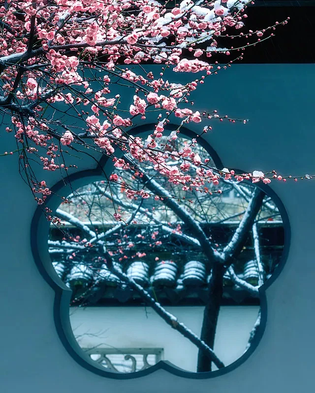 南京梅花山风光照片下载