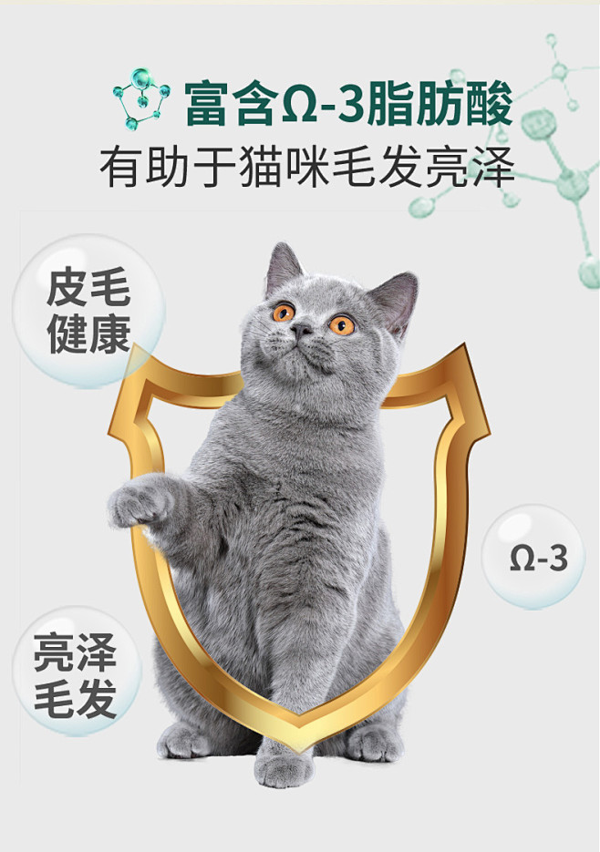 猫罐头主食罐猫咪零食罐白肉增肥营养补钙1...