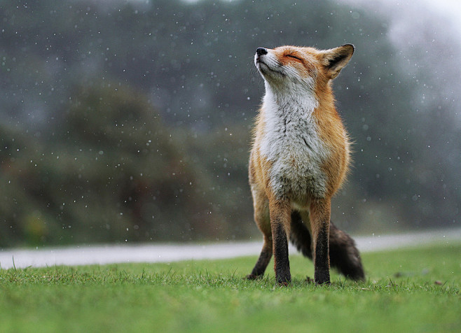 Enjoying the Rain......