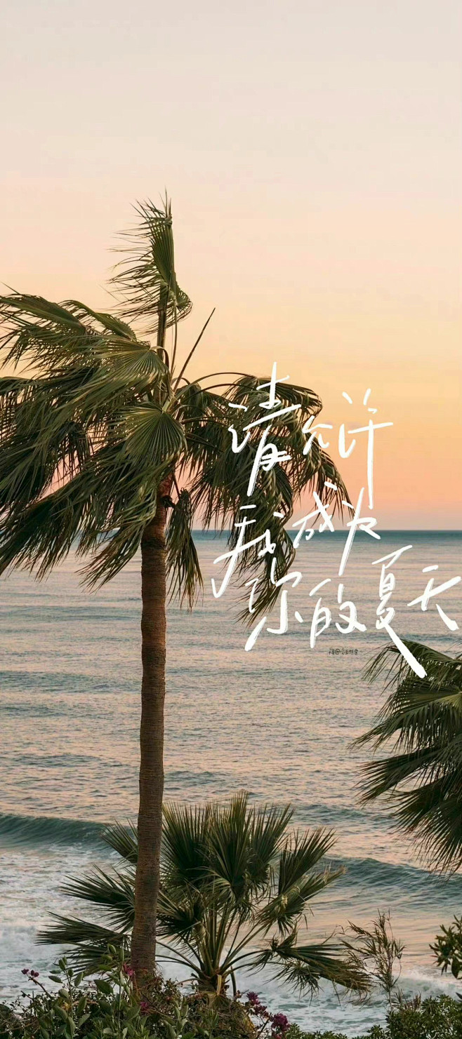 热门 - 热门微博 - 微博