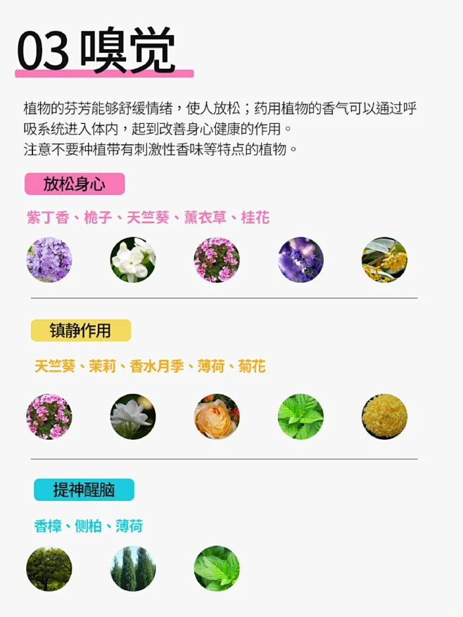 五感疗法 怎样设计理想的疗养花园？ - 小红书-花瓣网