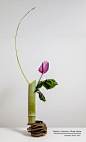 This may contain: a purple flower in a bamboo vase on a white table with some rocks and leaves