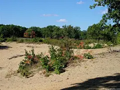 美国俄亥俄州风光(壁纸38)