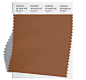 Pantone Color Swatch 16-1429