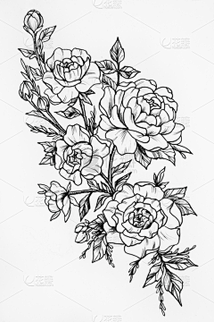 xmay小小采集到手绘花
